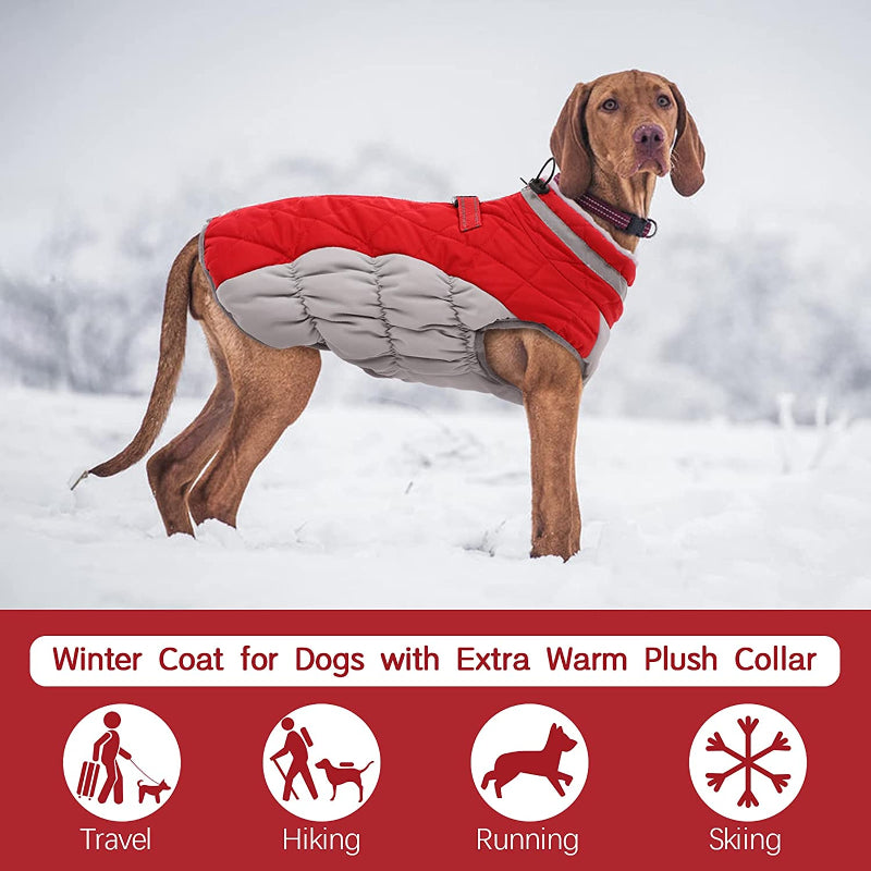Padded Vest Jacket Dog Winter Coat Windproof Warm Winter Dog Jacket-Paw Print Pad