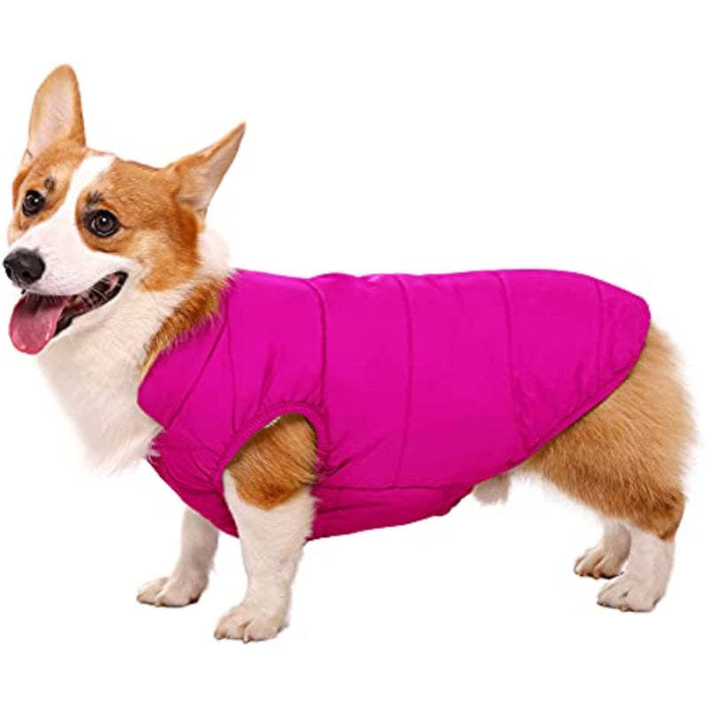 Windproof Dog Winter Coat Waterproof Dog Jacket Warm Dog-Paw Print Pad
