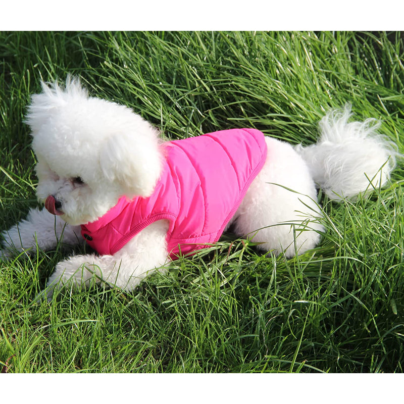 2 Layers Fleece Lined Warm Dog Jacket For Puppy Winter Cold Weather,Soft Windproof Small Dog Coat-Paw Print Pad