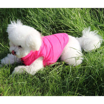 2 Layers Fleece Lined Warm Dog Jacket For Puppy Winter Cold Weather,Soft Windproof Small Dog Coat-Paw Print Pad
