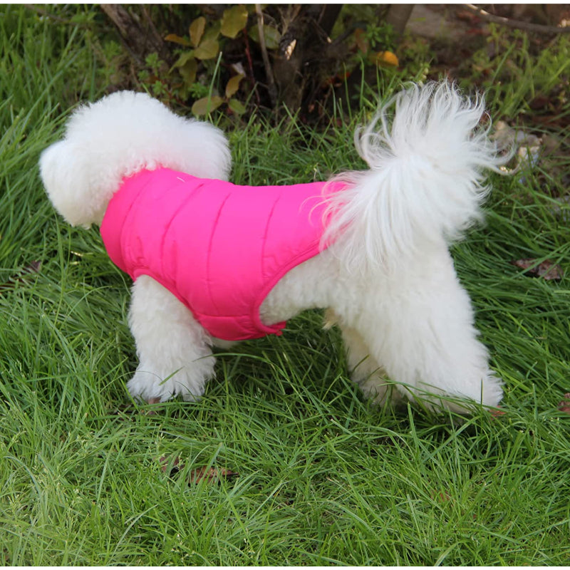 2 Layers Fleece Lined Warm Dog Jacket For Puppy Winter Cold Weather,Soft Windproof Small Dog Coat-Paw Print Pad