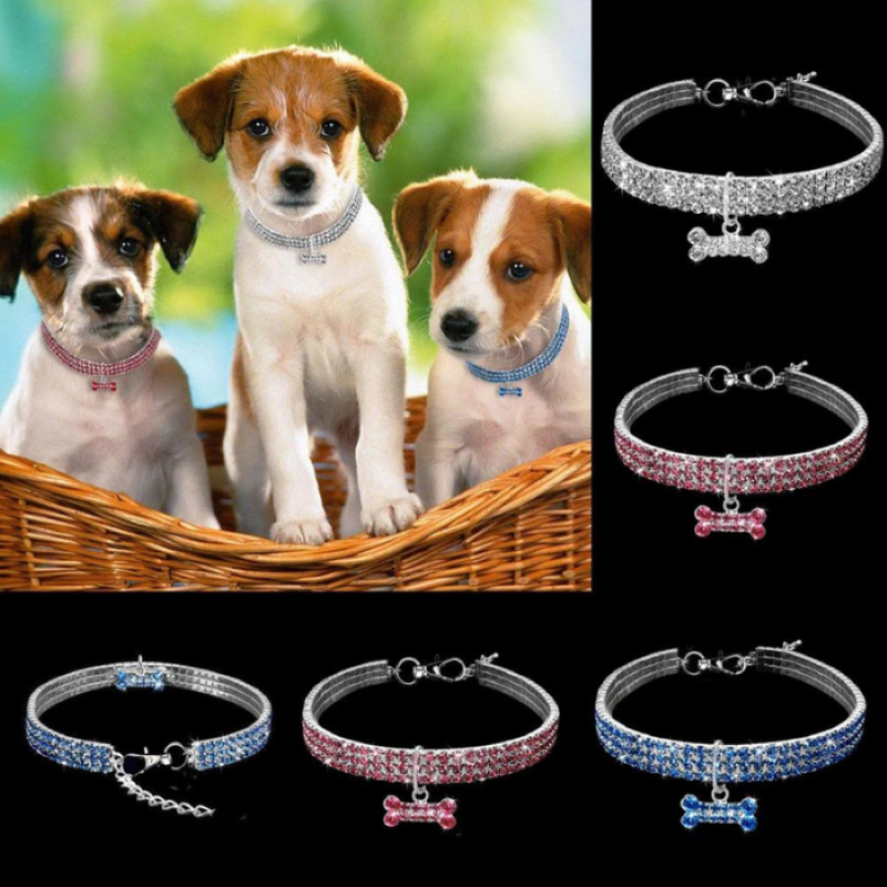 Sparkling Rhinestone Dog Collar-Paw Print Pad