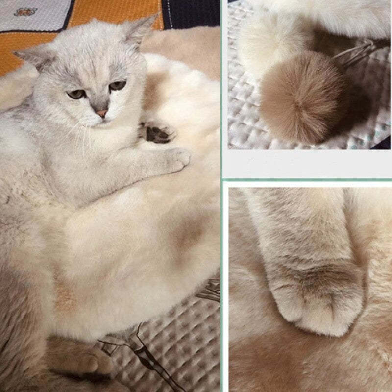 Comfy Round Cat Mat-Paw Print Pad