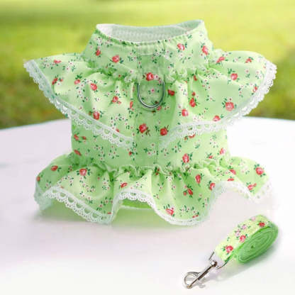 Floral Dog Dress With Lace Trim And Matching Leash