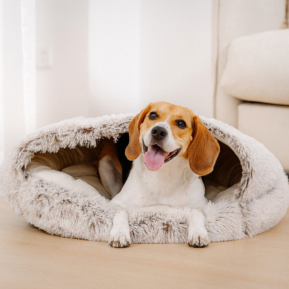 Plush Semi Enclosed Pet Nest Bed-Paw Print Pad
