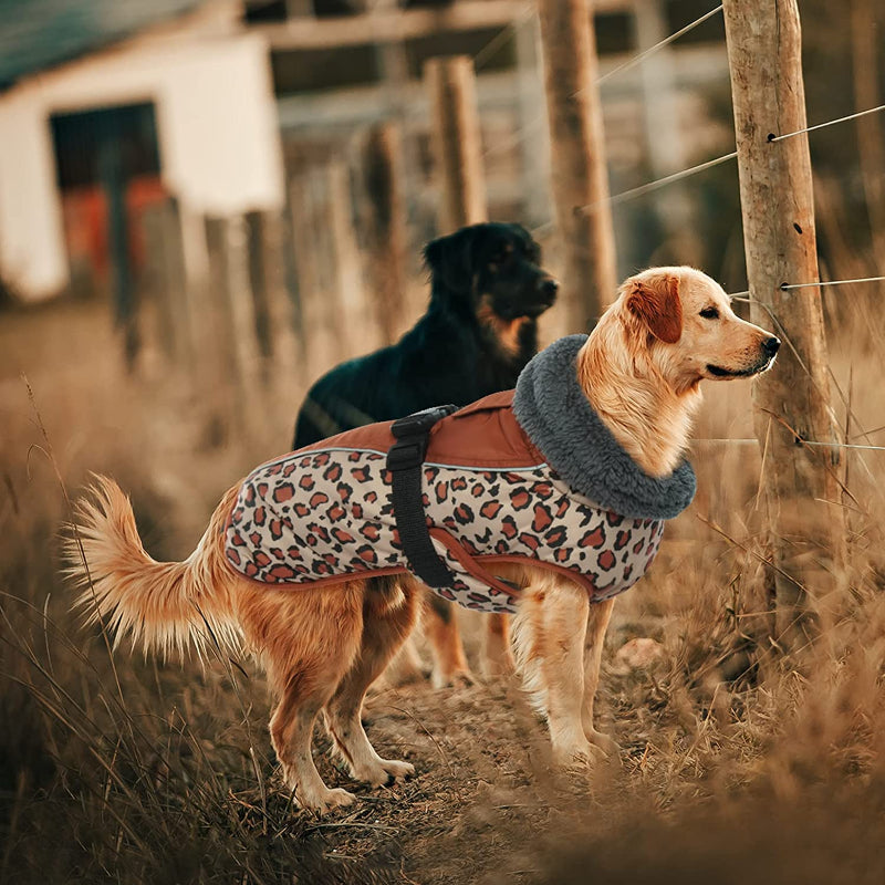 Extra Warm Dog Coat Reflective Adjustable Dog Jacket-Paw Print Pad