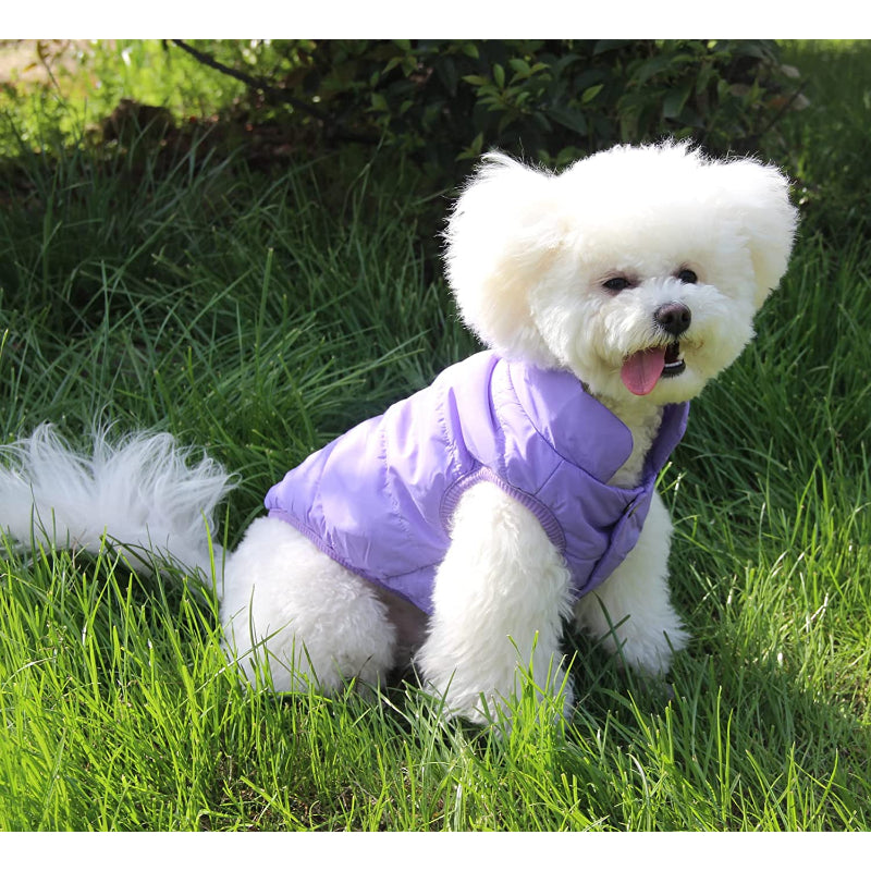 2 Layers Fleece Lined Warm Dog Jacket For Puppy Winter Cold Weather,Soft Windproof Small Dog Coat-Paw Print Pad
