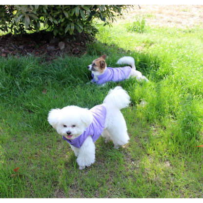 2 Layers Fleece Lined Warm Dog Jacket For Puppy Winter Cold Weather,Soft Windproof Small Dog Coat-Paw Print Pad