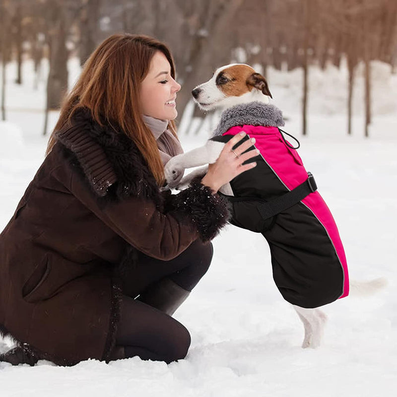 Extra Warm Dog Coat Reflective Adjustable Dog Jacket-Paw Print Pad