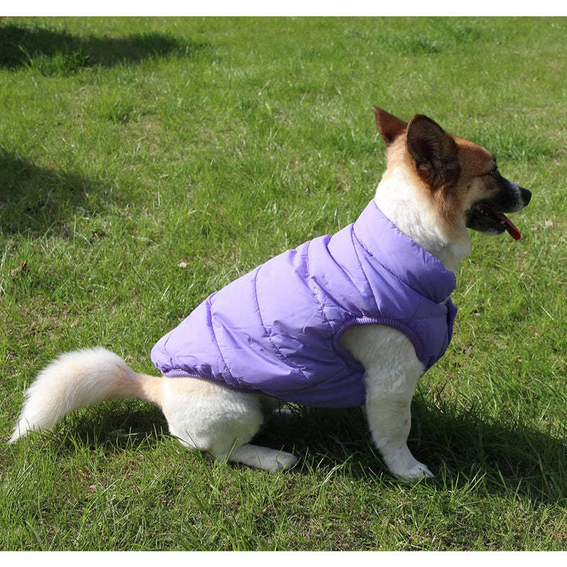 2 Layers Fleece Lined Warm Dog Jacket For Puppy Winter Cold Weather,Soft Windproof Small Dog Coat-Paw Print Pad
