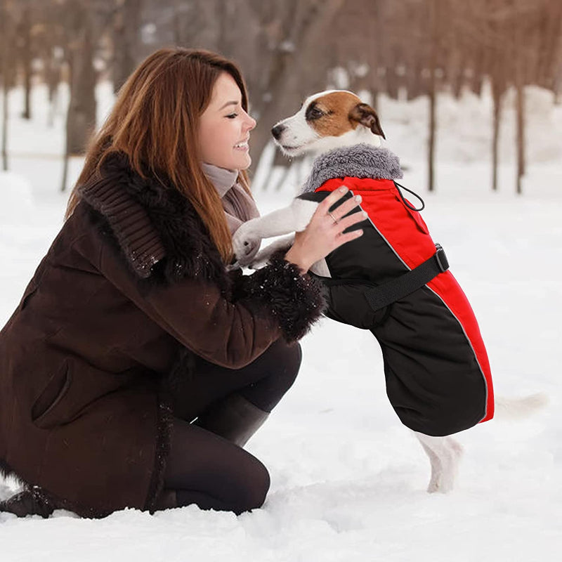 Extra Warm Dog Coat Reflective Adjustable Dog Jacket-Paw Print Pad