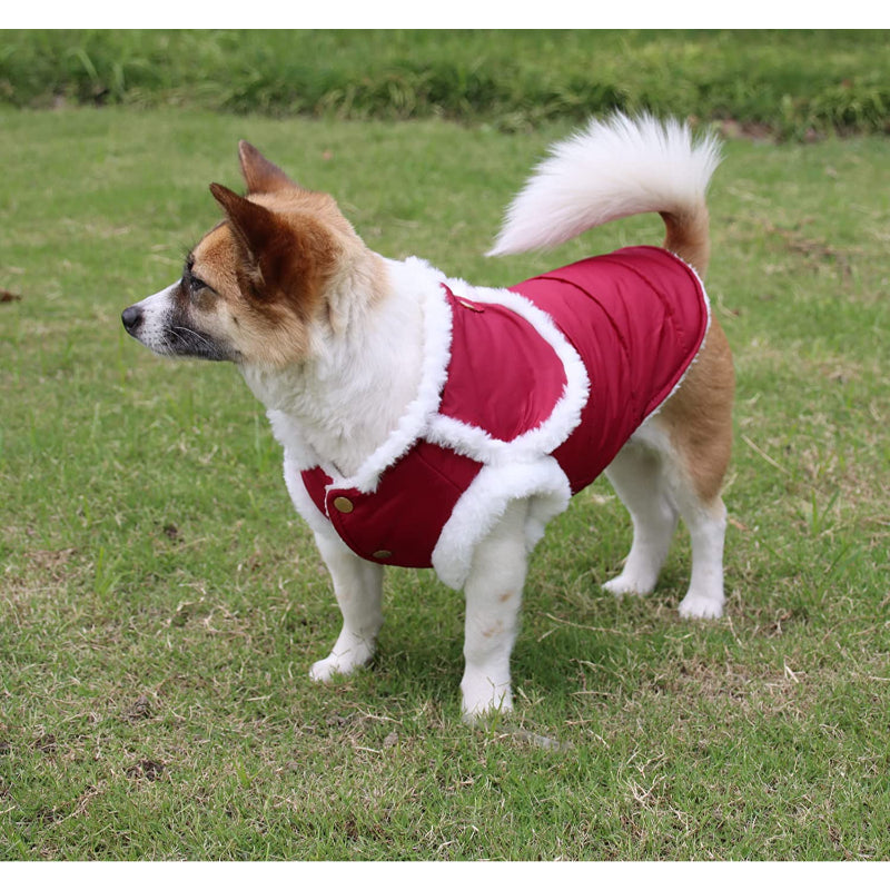 Shawl Design Fleece Lined Warm Dog Jacket For Puppy Winter Cold Weather,Soft Windproof Small Dog Coat-Paw Print Pad
