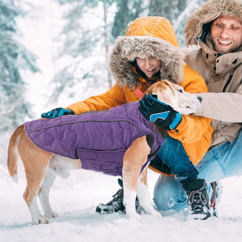 Dog Jacket For Winter With Stylish Vest Design For Small To Large Dogs-Paw Print Pad