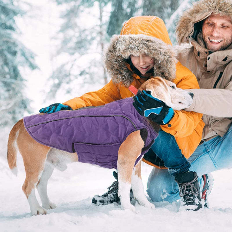 Dog Jacket For Winter With Stylish Vest Design For Small To Large Dogs-Paw Print Pad