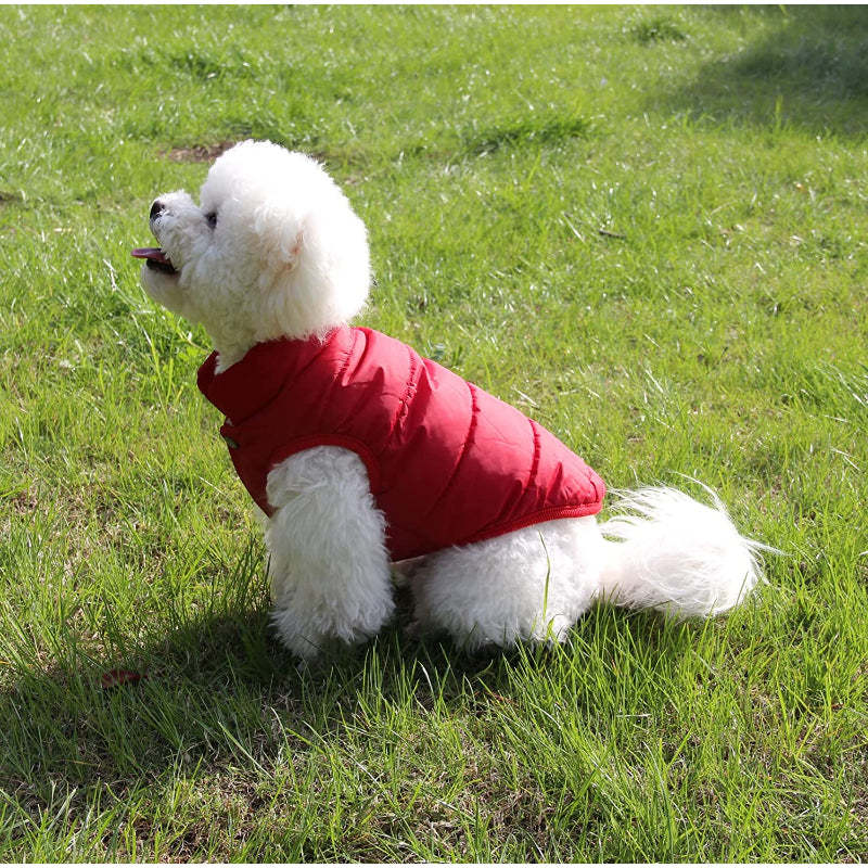 2 Layers Fleece Lined Warm Dog Jacket For Puppy Winter Cold Weather,Soft Windproof Small Dog Coat-Paw Print Pad