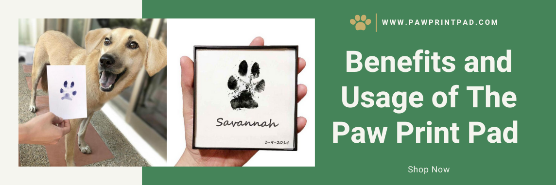 Benefits and Usage of The Paw Print Pad-Paw Print Pad