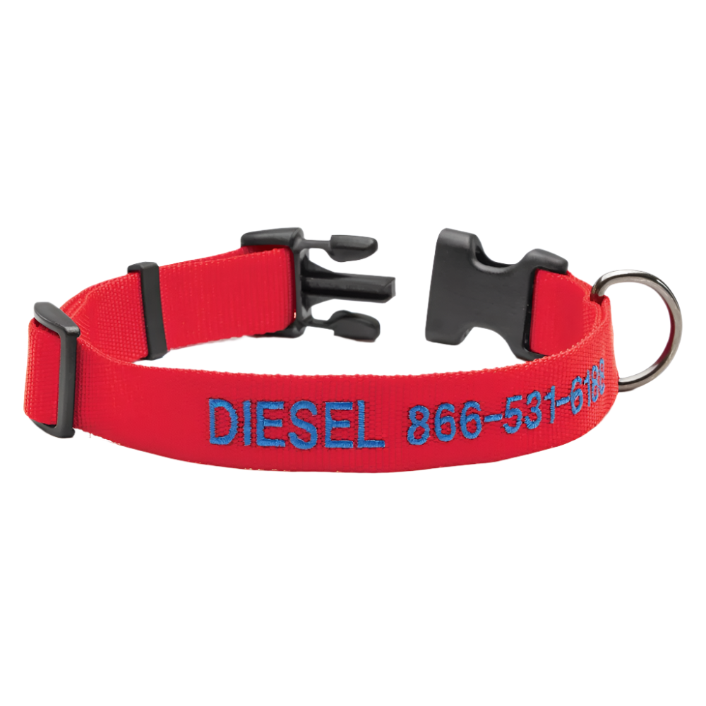 Personalized Side Release Buckle Collar-Paw Print Pad