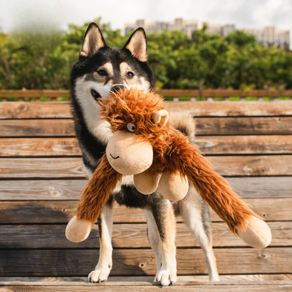 Interactive Squeaky Plush Toy For Puppies And Dogs-Paw Print Pad