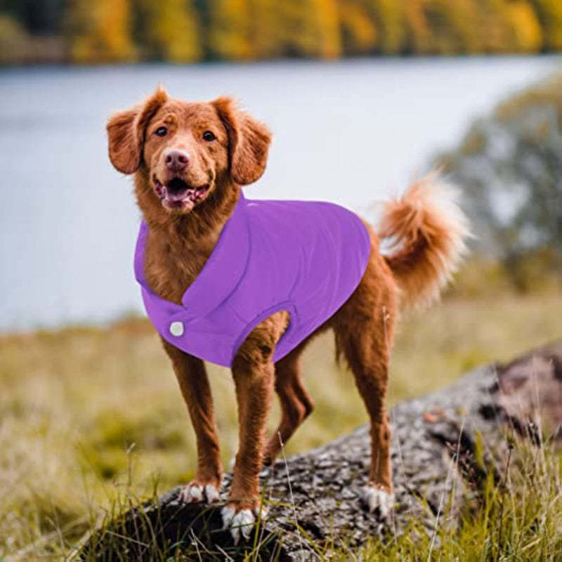 Windproof Dog Winter Coat Waterproof Dog Jacket Warm Dog-Paw Print Pad