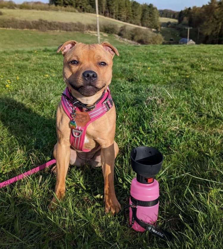Leak Proof Portable Pet Water Bottle-Paw Print Pad
