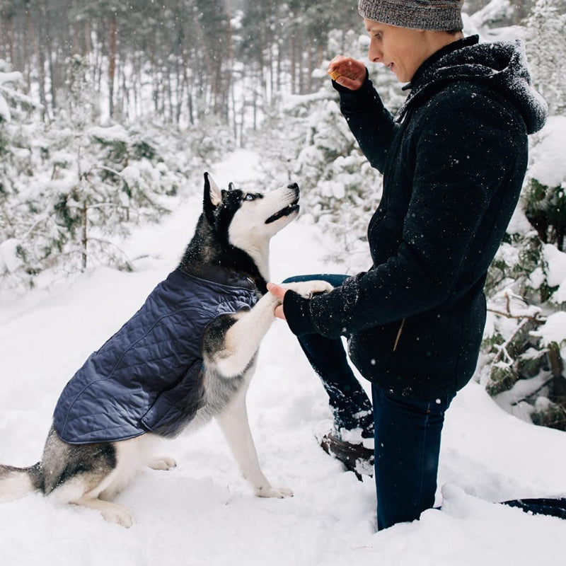 Dog Jackets For Winter, Cold Weather Coats For Dogs, Soft Winter Jackets, Dog Winter Vest For Small Medium Large Dogs-Paw Print Pad