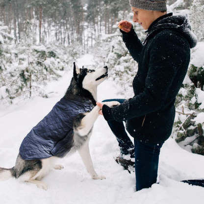 Dog Jackets For Winter, Cold Weather Coats For Dogs, Soft Winter Jackets, Dog Winter Vest For Small Medium Large Dogs-Paw Print Pad