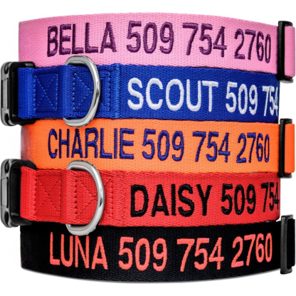 Personalized Adjustable Dog Collar For All Breeds-Paw Print Pad