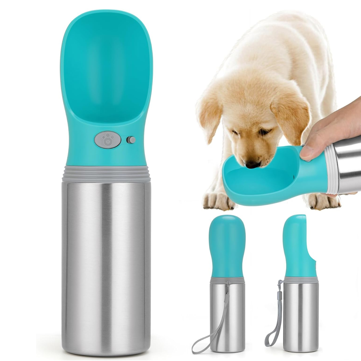 Portable 14 OZ Stainless Steel Dog Water Bottle for Outdoor Travel