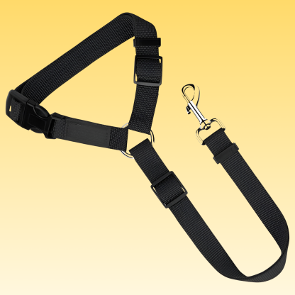 Non Elastic Pet Dog Cat Seat Belts