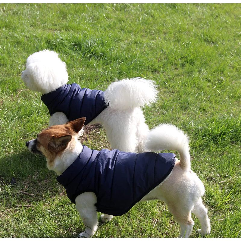 2 Layers Fleece Lined Warm Dog Jacket For Puppy Winter Cold Weather,Soft Windproof Small Dog Coat-Paw Print Pad