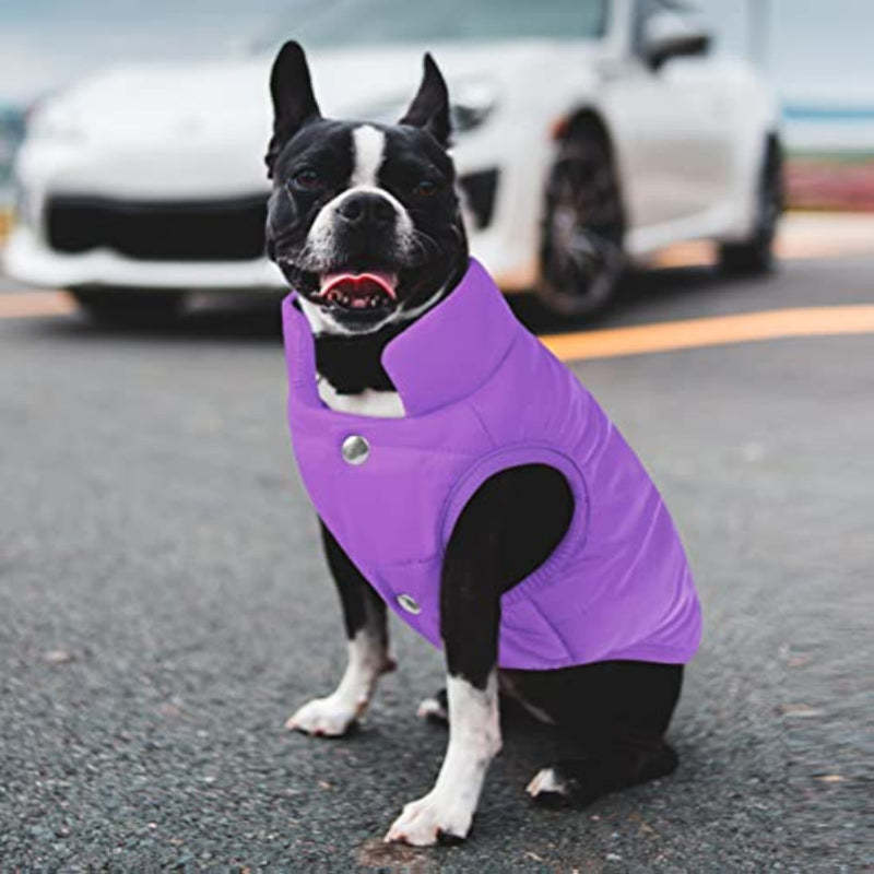 Windproof Dog Winter Coat Waterproof Dog Jacket Warm Dog-Paw Print Pad