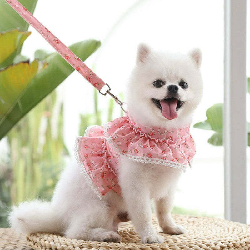 Floral Dog Dress With Lace Trim And Matching Leash-Paw Print Pad