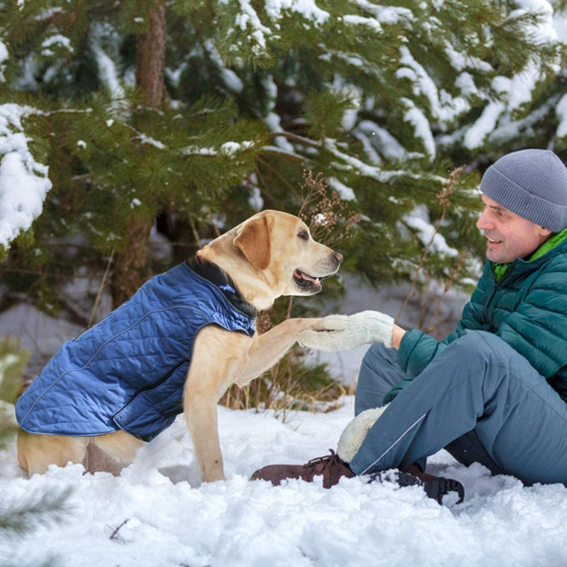 Dog Jackets For Winter, Cold Weather Coats For Dogs, Soft Winter Jackets Dogs, Dog Winter Vest For Small Medium And Large Dogs-Paw Print Pad