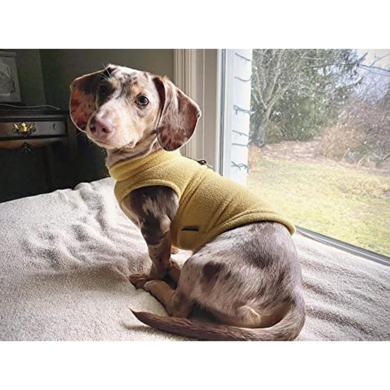 Warm Pullover Fleece Dog Jacket With O-Ring Leash-Paw Print Pad