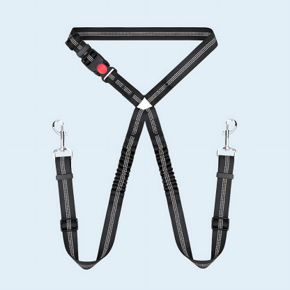 Elastic Double Leash Dog Cat Seat Belts