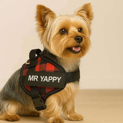 Custom No Pull Dog Harness with Personalized Name Patch-Paw Print Pad
