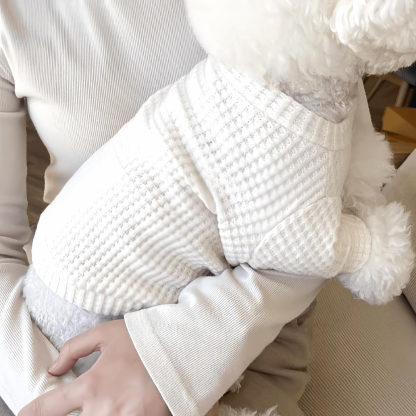 Pullover Knit Pet Apparel Sweater