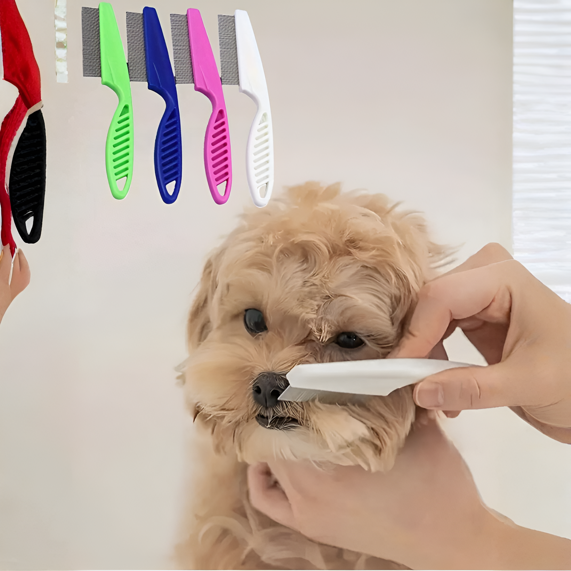 Stainless Steel Pet Hair And Tear Stain Remover Brush For Dogs And Cats
