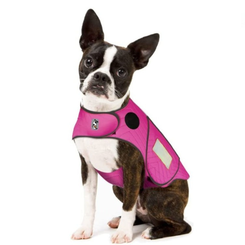 Dog Vest For Travelling-Paw Print Pad