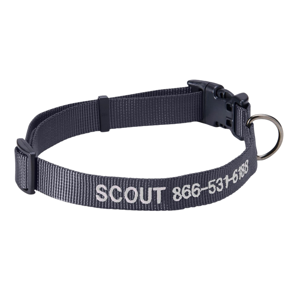 Personalized Side Release Buckle Collar-Paw Print Pad