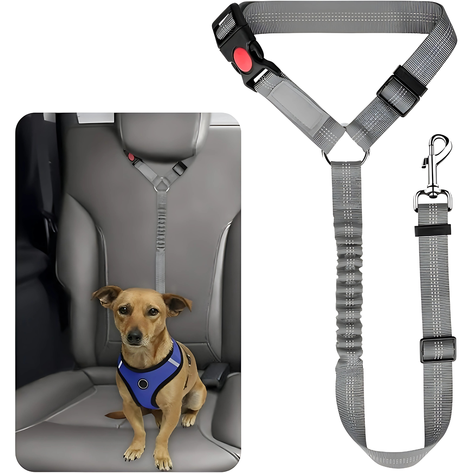 Pet Dog Cat Elastic Seat Belts