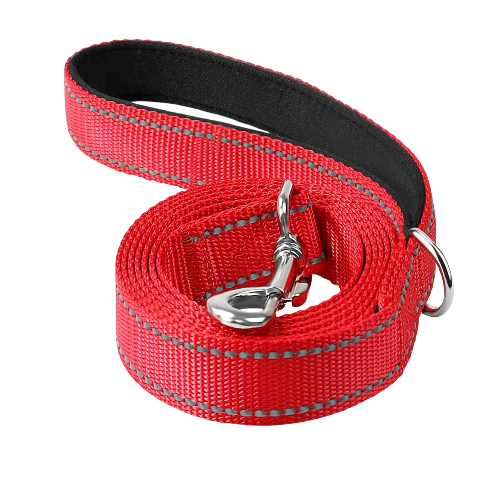Narrow Double Sided Reflective Dog Leash