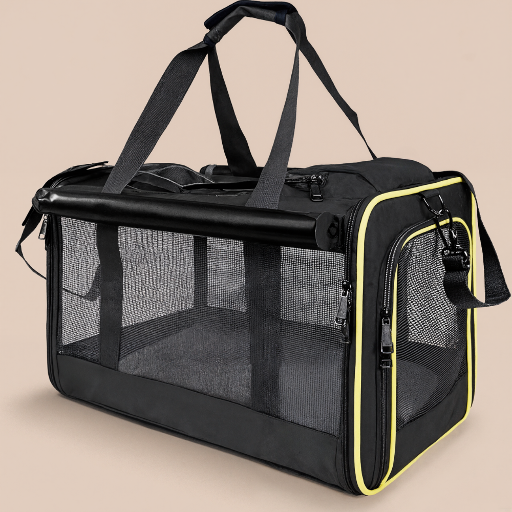 Cat Carriers for Large Cats