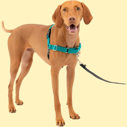 Easy Walk Dog Harness