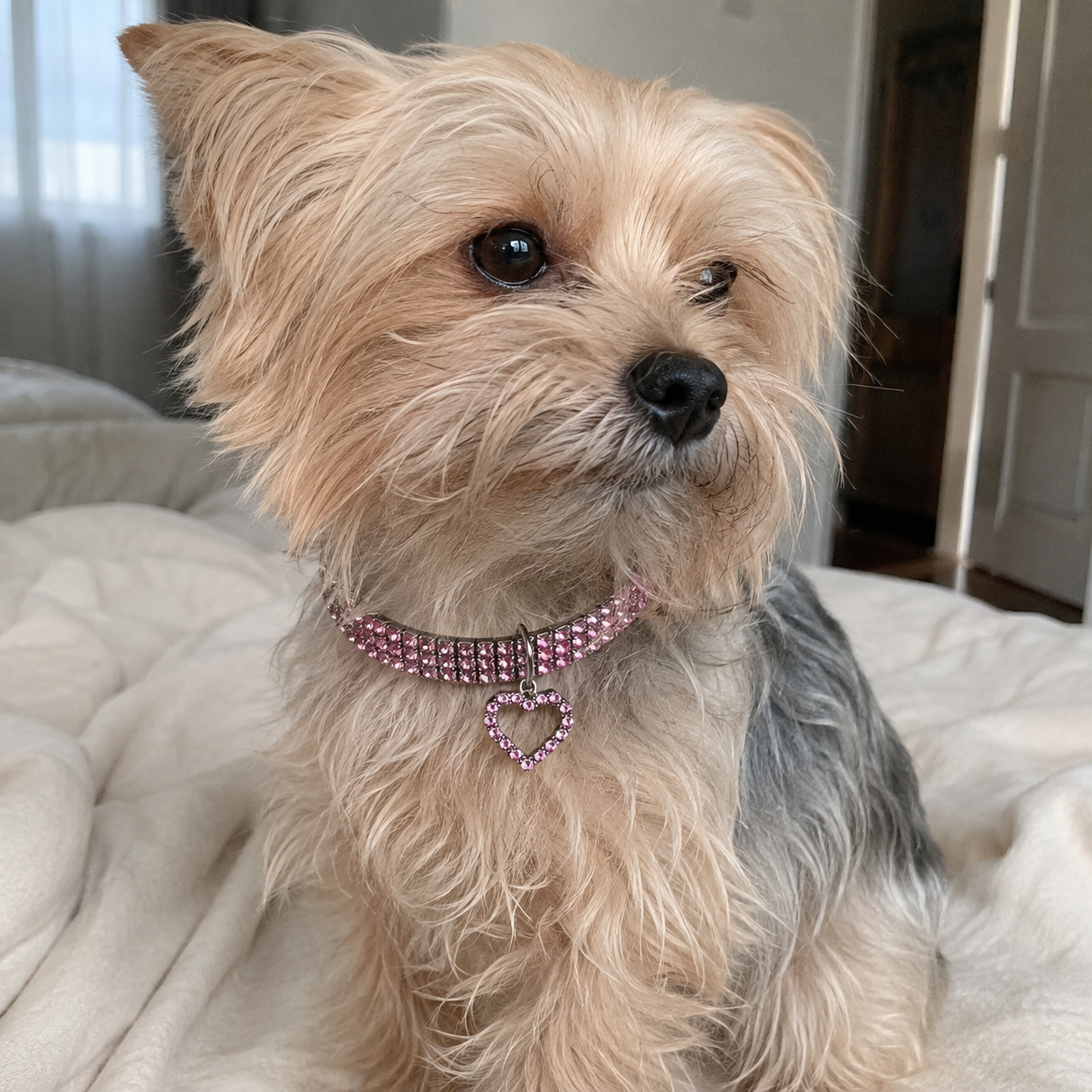 Adjustable Rhinestone Decor Collar With Pendant For Pets
