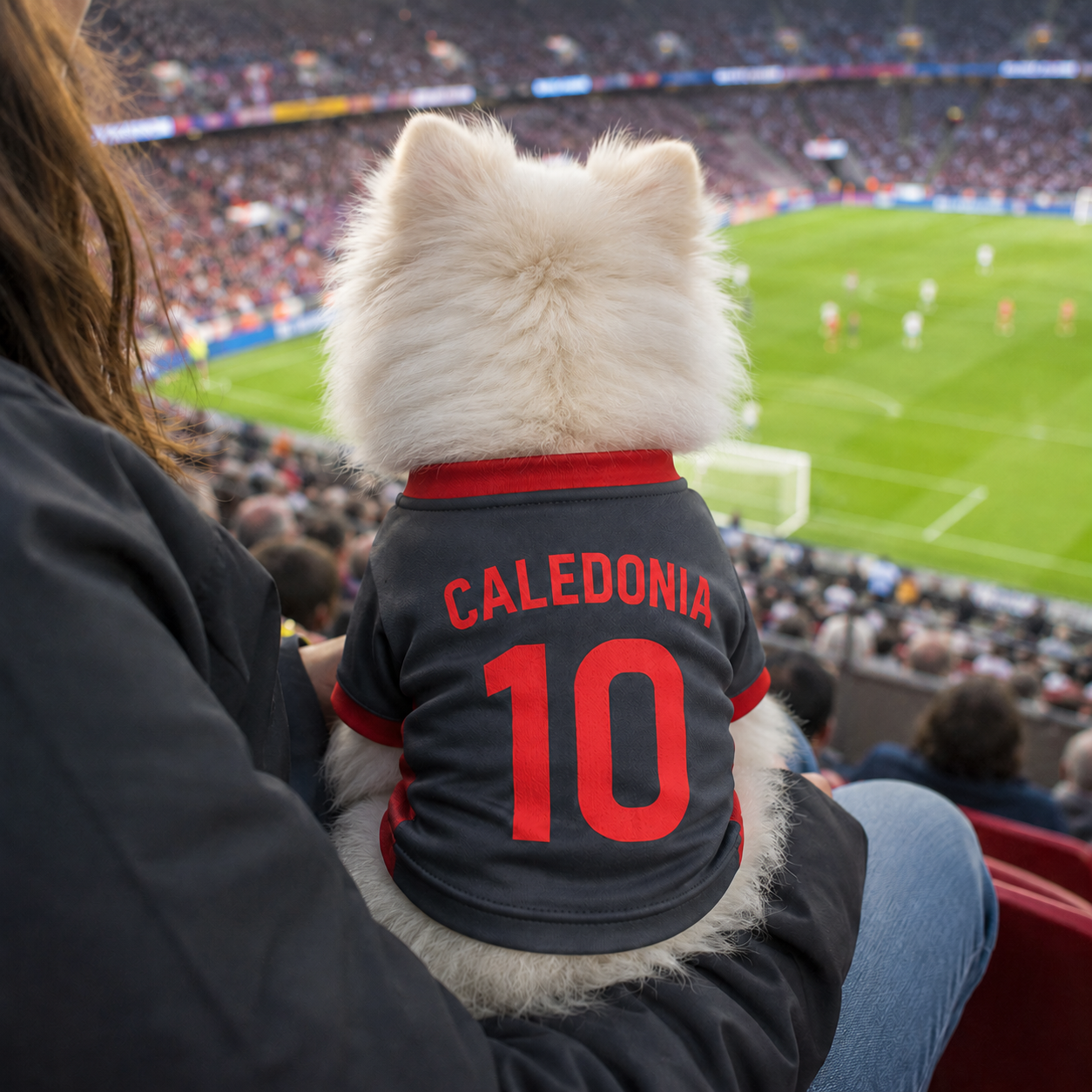 World Cup 2026 Caledonia Soccer Pet Jersey