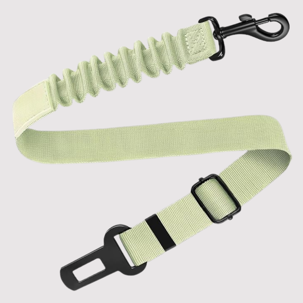 Adjustable Car Seat Belt For Dog