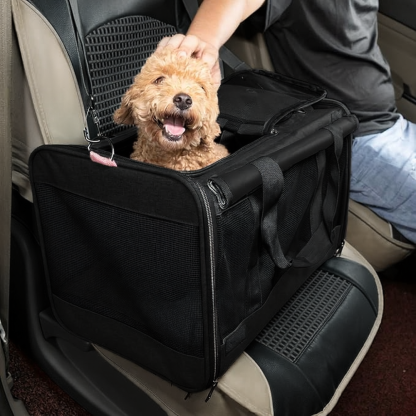 Cat Carriers for Large Cats