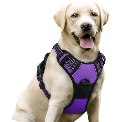 Dog Harness No Pull with 2 Leash Clips