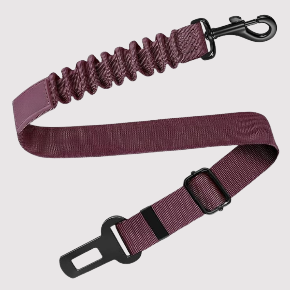 Adjustable Car Seat Belt For Dog